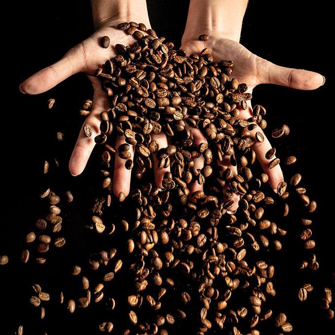 Caffè Fantino azienda