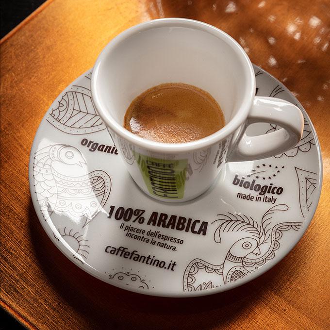 Caffè Fantino biologico