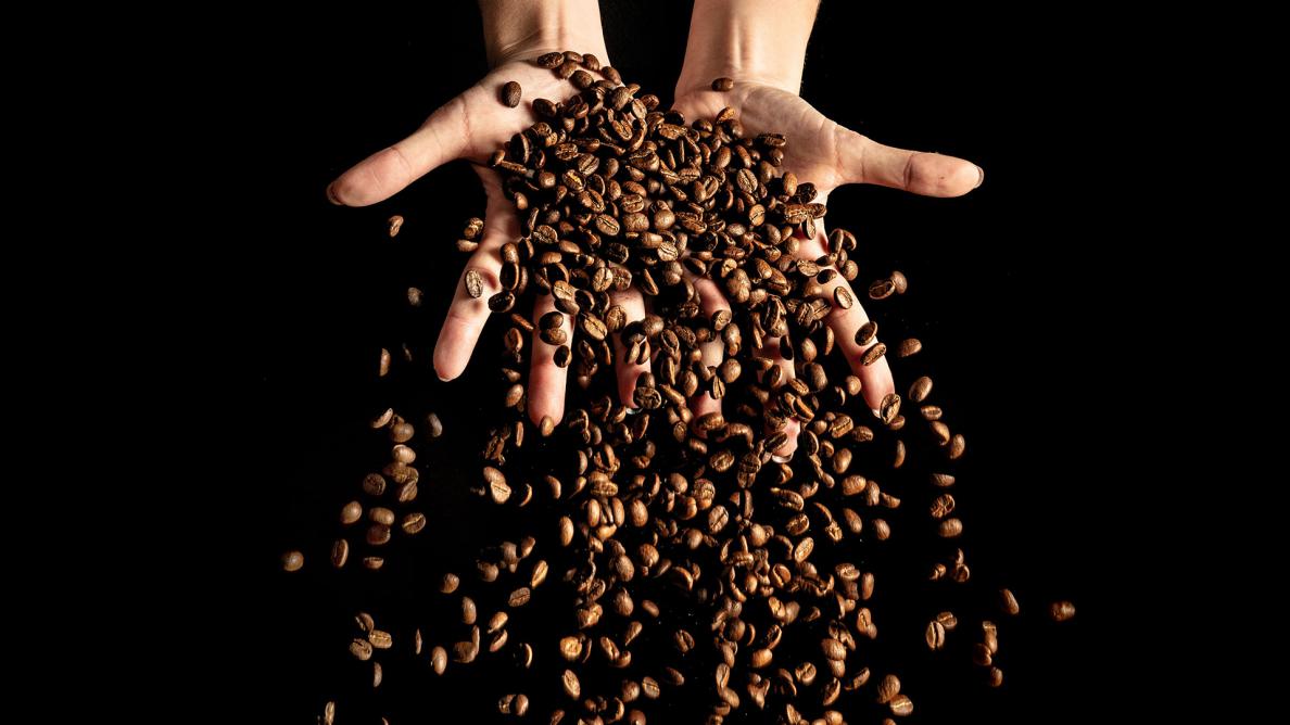 Caffè Fantino | Company